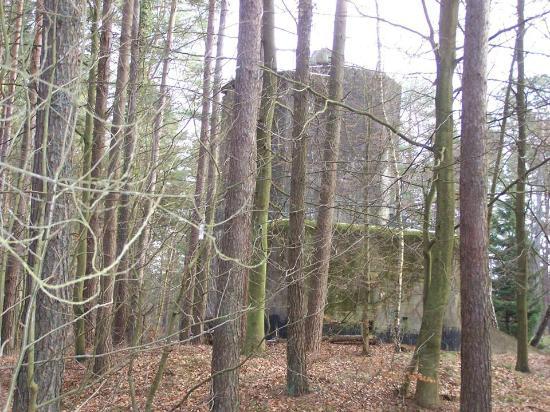 Bateria Artylerii Stałej